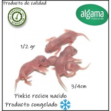 Pinky  recién nacido (Producto congelado)